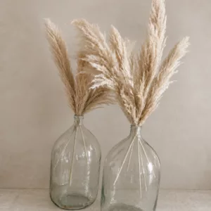 Les 2 vases avec 6 herbes de pampa par vase